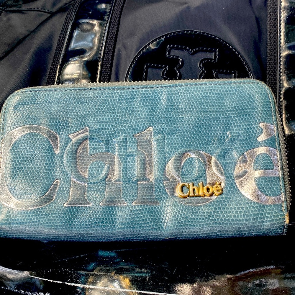 11304 Chloe